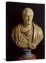Bust of Marcus Tullius Cicero-Roman-Stretched Canvas
