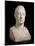 Bust of Marie-Joseph-Gilbert Du Motier, Marquis De La Fayette (1757-1834), 1829 (Marble)-Pierre Jean David d'Angers-Mounted Giclee Print