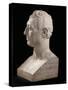 Bust of Marie-Joseph-Gilbert Du Motier, Marquis De La Fayette (1757-1834), 1829 (Marble)-Pierre Jean David d'Angers-Stretched Canvas