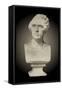 Bust of Meyerbeer-null-Framed Stretched Canvas