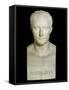 Bust of Napoleon Bonaparte - Marble Sculpture, 18Th-19Th Century-Antonio Canova-Framed Stretched Canvas