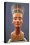 Bust of Nefertiti-null-Stretched Canvas