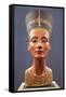 Bust of Nefertiti-null-Framed Stretched Canvas