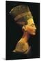 Bust of Nefertiti-null-Mounted Premium Giclee Print