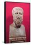 Bust of Plato (circa 427-347 BC) Copy of a 4th Century BC Original-null-Framed Stretched Canvas