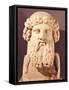 Bust of Plato (circa 428-circa 348 BC)-null-Framed Stretched Canvas