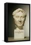 Bust of Pompey circa 60 BC-null-Framed Stretched Canvas