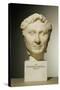 Bust of Pompey circa 60 BC-null-Stretched Canvas