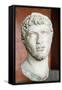 Bust of Ptolemy of Mauretania-null-Framed Stretched Canvas