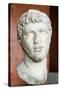 Bust of Ptolemy of Mauretania-null-Stretched Canvas