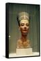 Bust of Queen Nefertiti, Front View, from the Studio of the Sculptor Thutmose at Tell El-Amarna-Egyptian 18th Dynasty-Framed Stretched Canvas