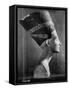 Bust of Queen Nefertiti-Eliot Elisofon-Framed Stretched Canvas
