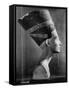 Bust of Queen Nefertiti-Eliot Elisofon-Framed Stretched Canvas