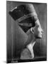 Bust of Queen Nefertiti-Eliot Elisofon-Mounted Photographic Print