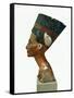 Bust of Queen Nefertiti-null-Framed Stretched Canvas