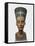 Bust of Queen Nefertiti-null-Framed Stretched Canvas