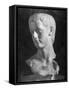 Bust of Roman Ruler Caligula-null-Framed Stretched Canvas