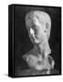 Bust of Roman Ruler Caligula-null-Framed Stretched Canvas