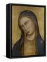 Bust of Saint Mary-Lorenzo Monaco-Framed Stretched Canvas