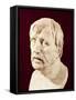 Bust of Seneca-null-Framed Stretched Canvas