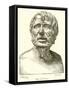 Bust of Seneca-null-Framed Stretched Canvas