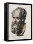 Bust of Socrates-Stefano Bianchetti-Framed Stretched Canvas