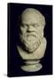 Bust of Socrates-Greek-Framed Stretched Canvas