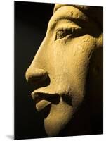 Bust of the 18th Dynasty Pharoah Akhenaten in the National Museum in Alexandria, Egypt-Julian Love-Mounted Photographic Print