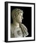 Bust of the Emperor Hadrian-null-Framed Photographic Print