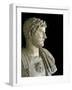 Bust of the Emperor Hadrian-null-Framed Photographic Print