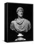 Bust of the Emperor of Rome, Hadrian-null-Framed Stretched Canvas