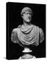 Bust of the Emperor of Rome, Hadrian-null-Stretched Canvas