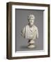 Bust of the Emperor Septimius Severus (193-211 Ad)-null-Framed Giclee Print