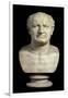 Bust of the Emperor Vespasian, 1st Century-null-Framed Giclee Print