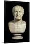 Bust of the Emperor Vespasian, 1st Century-null-Framed Giclee Print