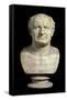 Bust of the Emperor Vespasian, 1st Century-null-Framed Stretched Canvas