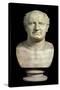 Bust of the Emperor Vespasian, 1st Century-null-Stretched Canvas