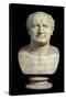 Bust of the Emperor Vespasian, 1st Century-null-Stretched Canvas