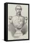 Bust of the French President, Louis Napoleon-null-Framed Stretched Canvas
