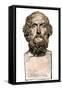 Bust of the Greek Poet Homer-null-Framed Stretched Canvas