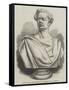 Bust of the Late Gustavus V Brooke-null-Framed Stretched Canvas