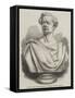 Bust of the Late Gustavus V Brooke-null-Framed Stretched Canvas