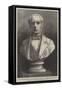 Bust of the Right Honourable Sir J Pakington-null-Framed Stretched Canvas