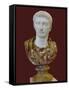 Bust of Tiberius, 1st H. 1st C Ad-null-Framed Stretched Canvas