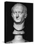Bust of Vespasian-null-Stretched Canvas