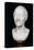 Bust of Voltaire (1694-1778) Without His Wig, 1778-Jean-Antoine Houdon-Stretched Canvas