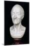 Bust of Voltaire (1694-1778) Without His Wig, 1778-Jean-Antoine Houdon-Mounted Giclee Print