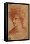 Bust of Young-null-Framed Stretched Canvas