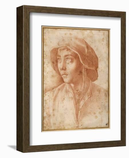 Bust Portrait of a Boy Wearing a Cap-Francesco De Rossi Salviati Cecchino-Framed Giclee Print