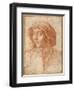 Bust Portrait of a Boy Wearing a Cap-Francesco De Rossi Salviati Cecchino-Framed Giclee Print